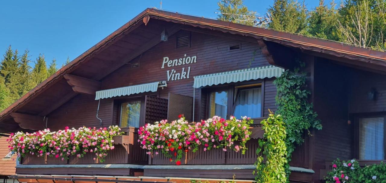 Pension Vinkl Harrachov Eksteriør bilde