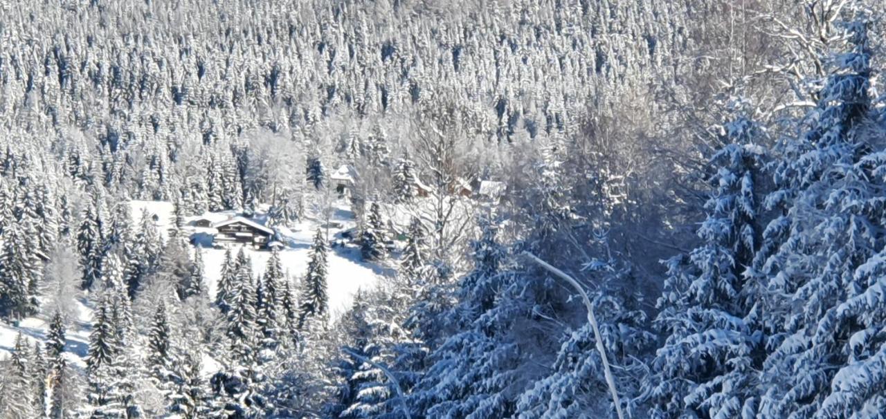Pension Vinkl Harrachov Eksteriør bilde